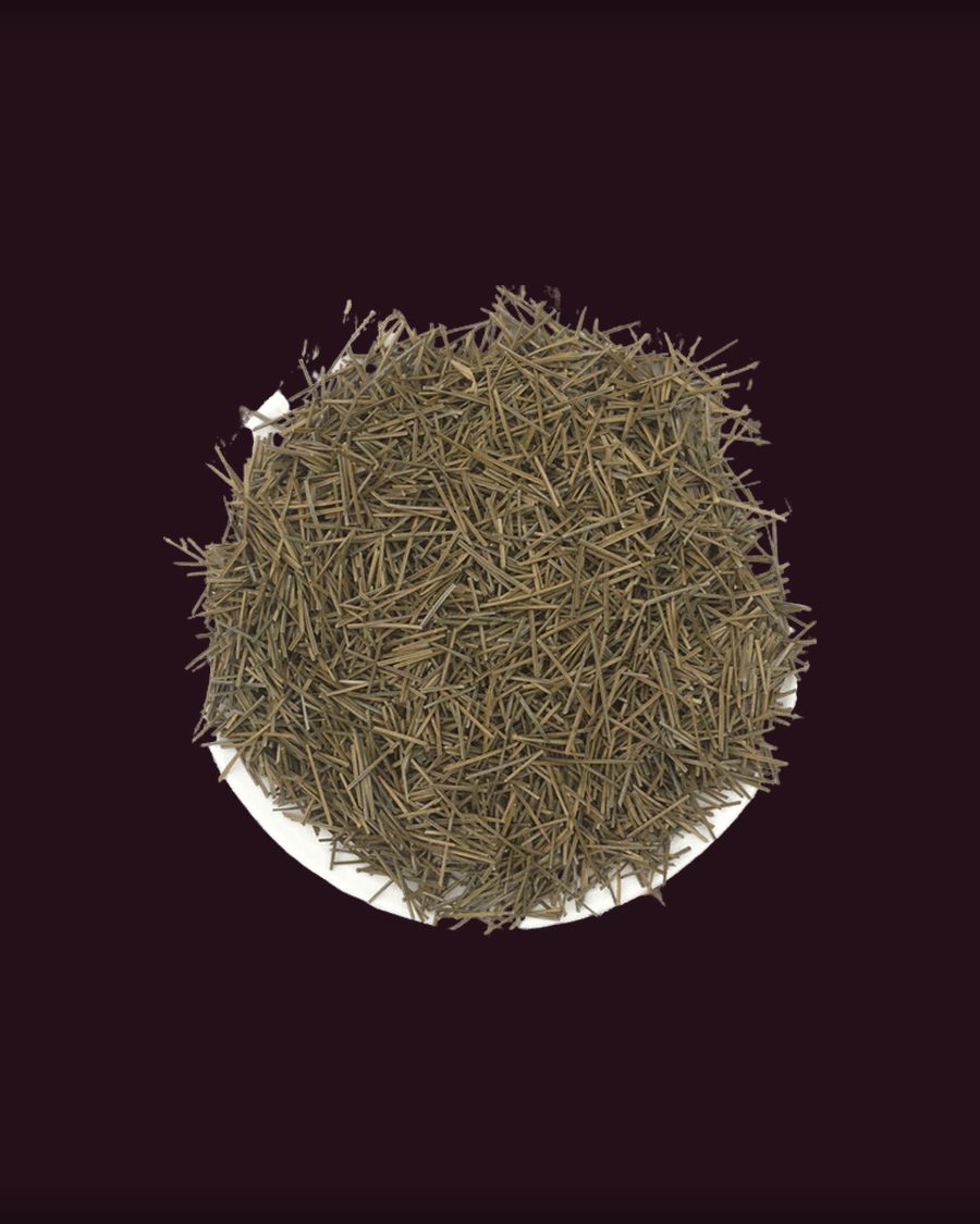 Pine Needle loose leaf tea